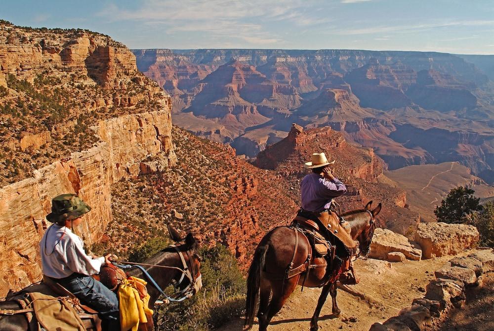 Grand Canyon Kachina Lodge المظهر الخارجي الصورة